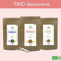 La Théière de Camille Pack TRIO découverte